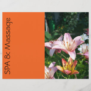 Prospectus 21,6 Cm X 24,94 Cm SPA et massage