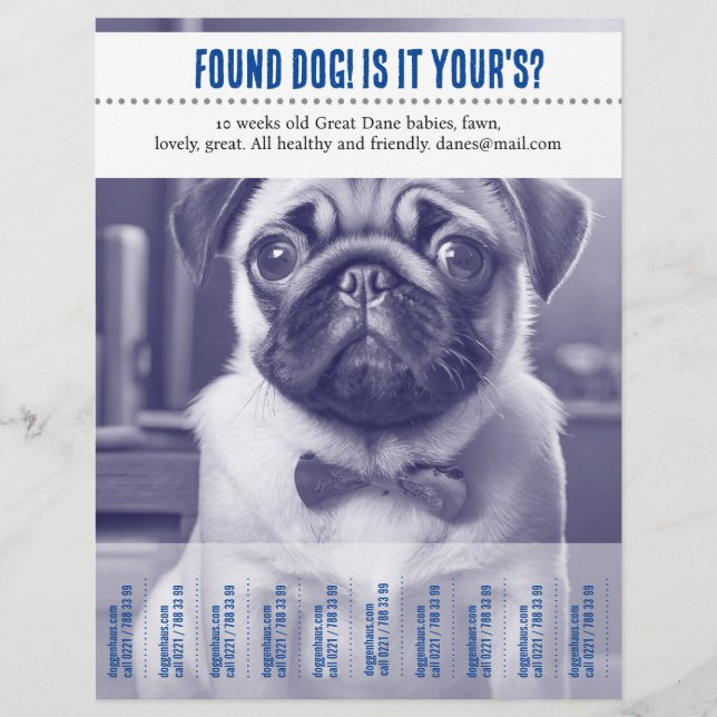 Prospectus 21,6 Cm X 24,94 Cm Tear Off vendant un dépliant  (Devant)