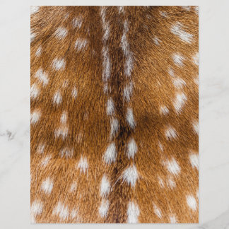Prospectus 21,6 Cm X 24,94 Cm texture de fourrure de cerf tacheté