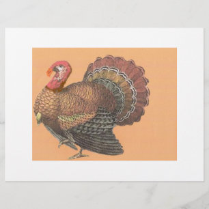 Prospectus 21,6 Cm X 24,94 Cm Thanksgiving Turquie