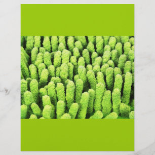 Prospectus 21,6 Cm X 24,94 Cm Tissu microfibre