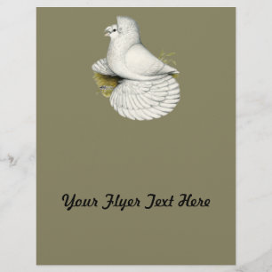 Prospectus 21,6 Cm X 24,94 Cm Trumpeter Pigeon White