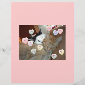 Prospectus 21,6 Cm X 24,94 Cm Valentine's Day Kittens