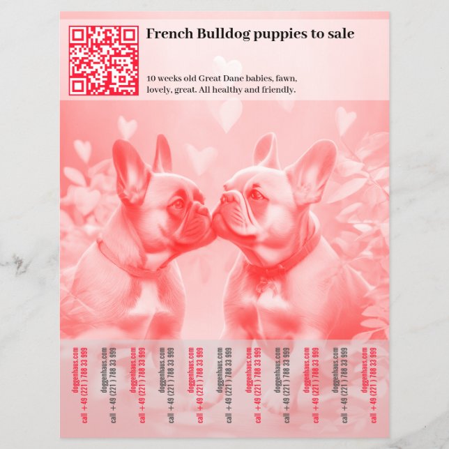 Prospectus 21,6 Cm X 24,94 Cm Vente de marionnettes Frenchie Design Circulaire (Devant)
