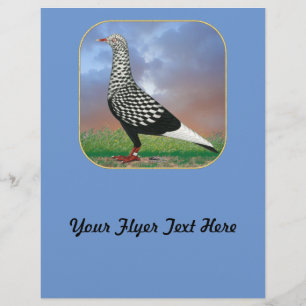 Prospectus 21,6 Cm X 24,94 Cm Vol Pigeon et nuages