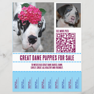 prospectus à vendre