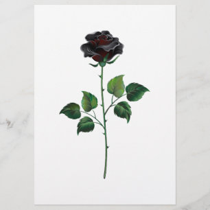 Prospectus Fleur rose noire