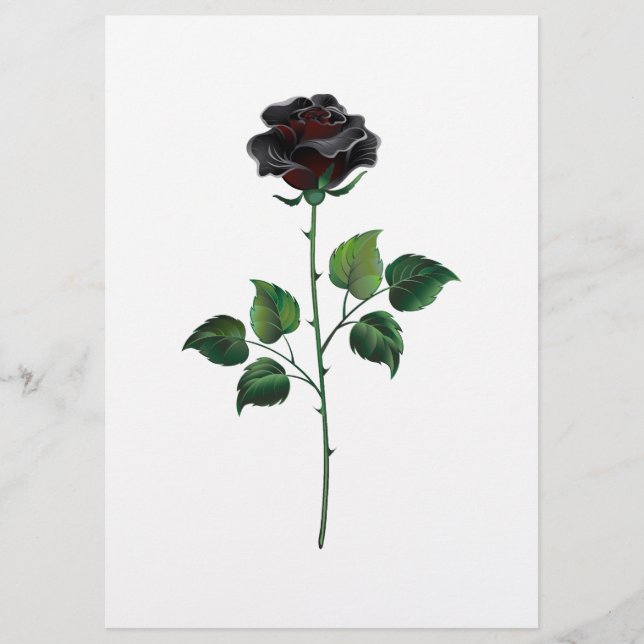 Prospectus Fleur rose noire (Devant)
