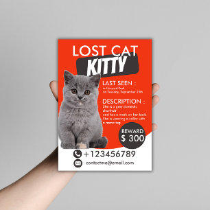 Prospectus Modèle de circulaire pour chat perdu - Animaux de