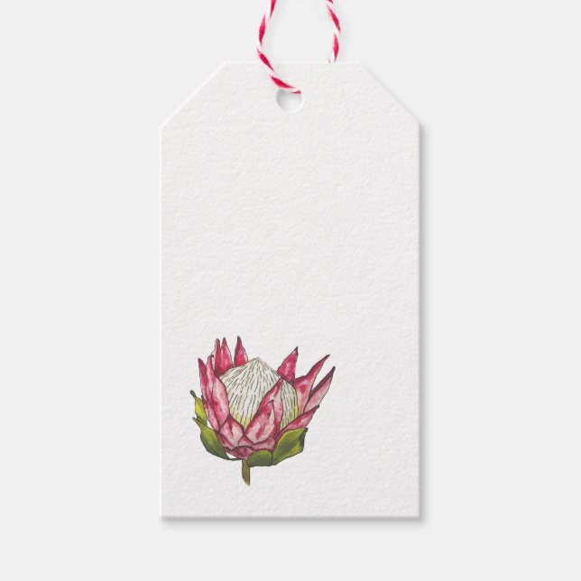 Protea aquarelle sur étiquette blanche (Devant)