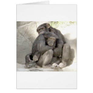 Protection de l'amour_