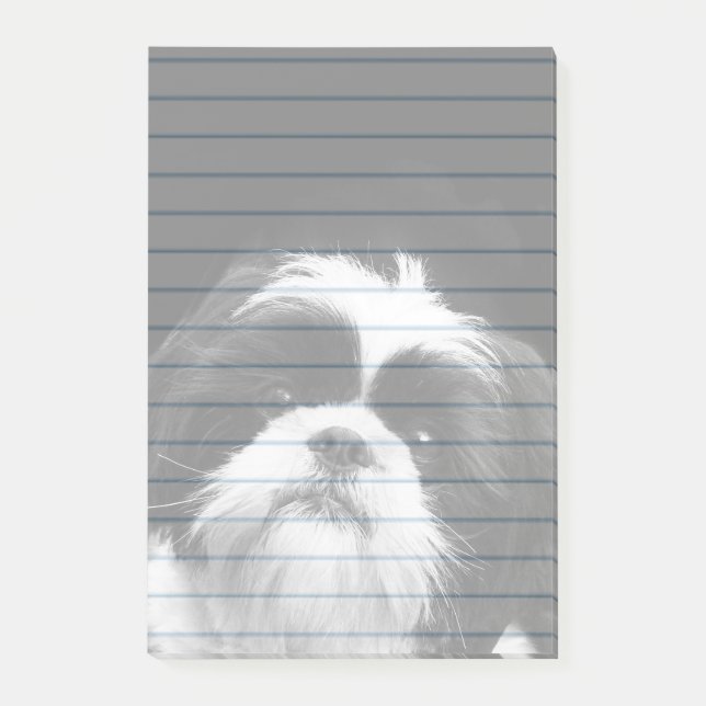 Protection des notes de post-it de chien de Shih (Devant)