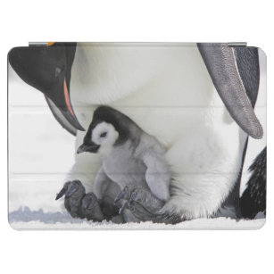 Protection iPad Air Animaux de bébés cutest   Baby Empereur Penguin