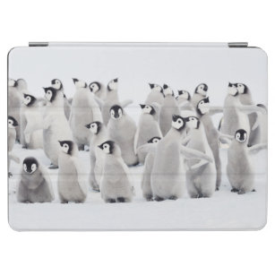 Protection iPad Air Animaux de bébés cutest   Empereur Penguin Chicks