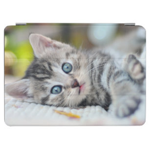 Protection iPad Air Animaux de bébés cutest   Kitten aux yeux bleus