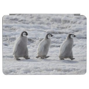 Protection iPad Air Animaux de bébés cutest   Trois Épouses Penguin Em