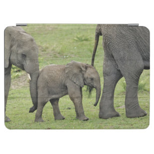 Protection iPad Air Éléphant africain femelle avec le bébé, Loxodonta