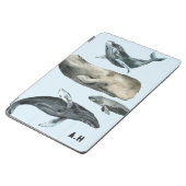 Protection iPad Air Flurry de baleines (Côté)
