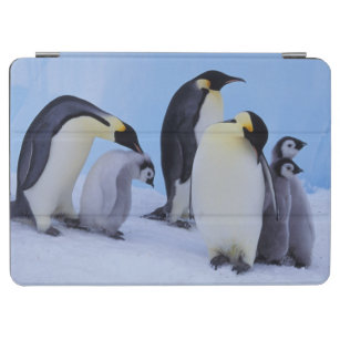 Protection iPad Air L'Antarctique, pingouin d'Emporer ((Aptenodytes