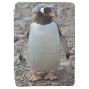 Protection iPad Air L'Antarctique. Port de Neko. Pingouin 2 de Gentoo