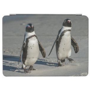 Protection iPad Air Pingouin africain (demersus de Spheniscus) 2