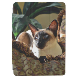 Protection iPad Air Seal Point Siamese Chat on Comfy Coussin