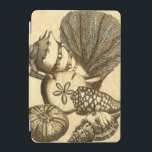 Protection iPad Mini Coquilles neutres et collection de corail<br><div class="desc">Allez sous l'eau pour explorer la mer avec toutes ces différentes créatures marines. Cette oeuvre d'art vintage s'ajoute parfaitement aux amateurs d'anémones de mer. Obtenez votre impression artistique dès aujourd'hui sur votre produit.</div>