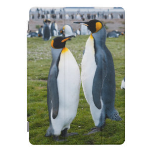 Protection iPad Pro Cover La Géorgie du sud. Plaine de Salisbury. Pingouins