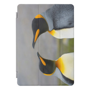 Protection iPad Pro Cover La Géorgie du sud. Saint Andrews. Pingouin de roi