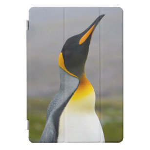 Protection iPad Pro Cover La Géorgie du sud. Saint Andrews. Pingouin de roi