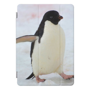 Protection iPad Pro Cover L'Antarctique. Île de Petermann. Pingouin d'Adelie