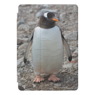 Protection iPad Pro Cover L'Antarctique. Port de Neko. Pingouin 2 de Gentoo