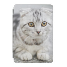 Smart Cover pour iPad 7.9"