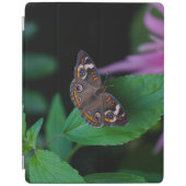 Protection iPad Papillon tacheté (Devant)