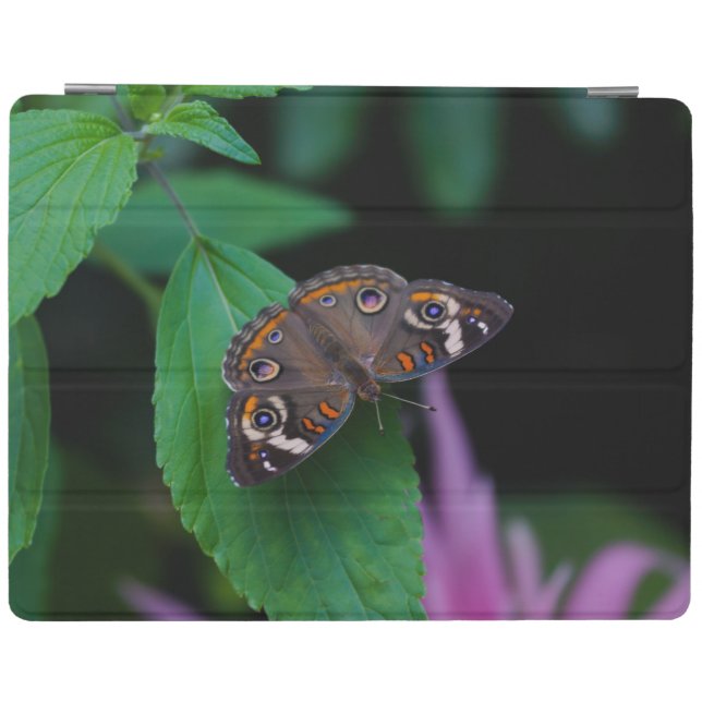 Protection iPad Papillon tacheté (Horizontal)