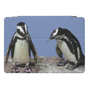 Protection iPad Pro Cover Pro cas 10,5 d'iPad noir et blanc de pingouins