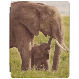 Protection iPad Éléphant et bébé des images   de Getty