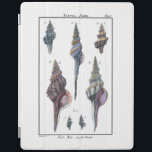 Protection iPad Sept Coquillages Colorés<br><div class="desc">L'artiste Denis Diderot est talentueux et connu pour ses grandes images de la vie marine. Dans cette image vive, il capture Sept coquillages colorés de conques dans leurs styles les plus naturels et uniques. Les conches sont souvent craquelés et sont de toutes formes et de toutes tailles. Obtenez votre produit...</div>