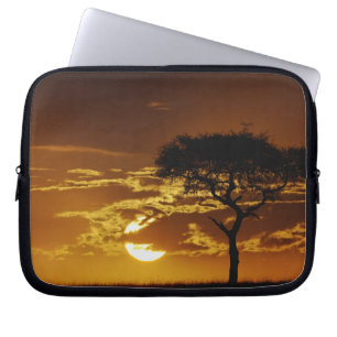 Protection Pour Ordinateur Portable Acacia tortilis, Acacia tortilis,