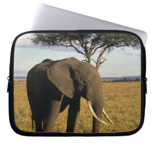 Protection Pour Ordinateur Portable Afrique, Kenya, Maasai Mara. Un éléphant dans le