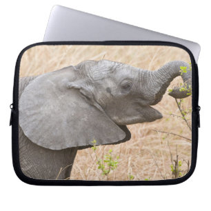 Protection Pour Ordinateur Portable Afrique. Tanzanie. Jeune éléphant à Tarangire