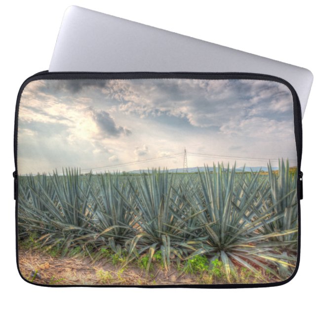 Protection Pour Ordinateur Portable Agave bleu (Devant)