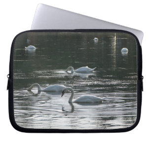 Protection Pour Ordinateur Portable Alimentation des cygnes, Lac Roath Park, Cardiff