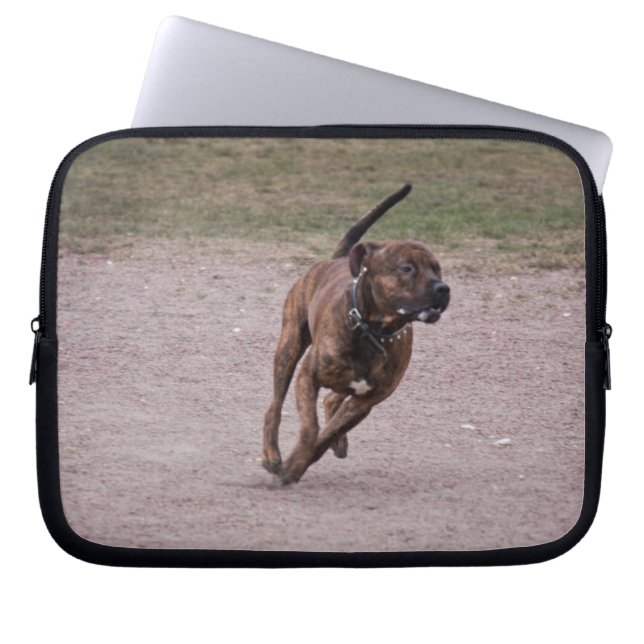 Protection Pour Ordinateur Portable Amstaff en cours (Devant)