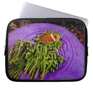 Protection Pour Ordinateur Portable Anemonefish et grande anémone