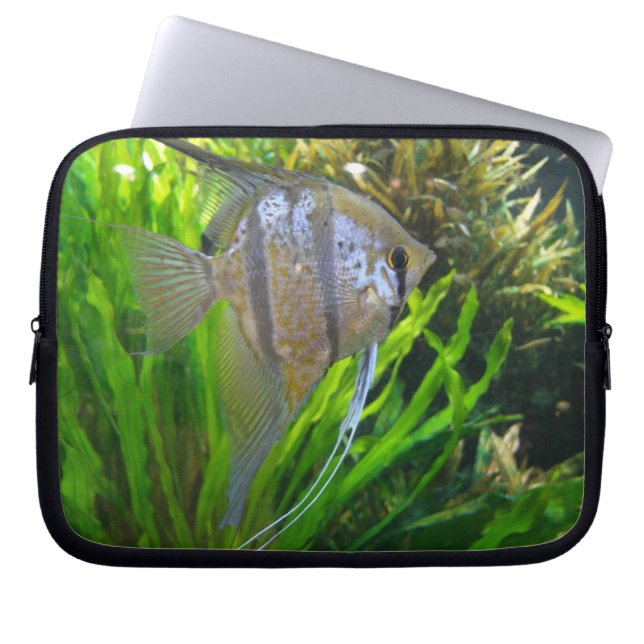 Protection Pour Ordinateur Portable Angel Fish (Devant)