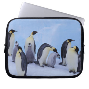 Protection Pour Ordinateur Portable Antarctique, Manchots empereurs