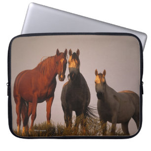 Protection Pour Ordinateur Portable Arabes au coucher du soleil