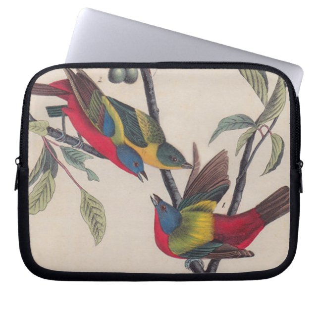 Protection Pour Ordinateur Portable Audubon Peint Bunting Bird Wildlife (Devant)
