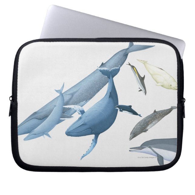 Protection Pour Ordinateur Portable Baleines (Devant)